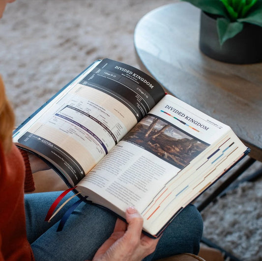 The Great Adventure Bible- Catholic, 2nd Edition, Leatherlike